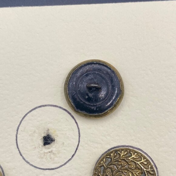 Antique Brass Floral Button Set 7 Victorian Art Nouveau Raised Vine Patina c1900 - Picture 5 of 6